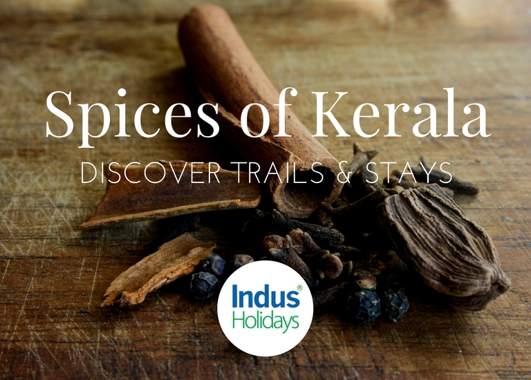 Unravelling the Spice routes of Kerala Shopping, Trails & Stays